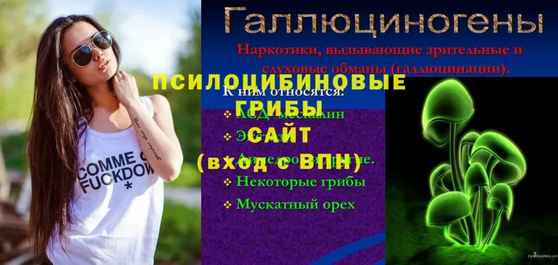 сколько стоит  Малгобек  Галлюциногенные грибы ЛСД 